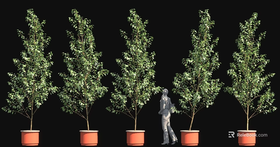 Green Leafy Potted Trees with Brown Trunks and Human Figure in Black Background 3d model 