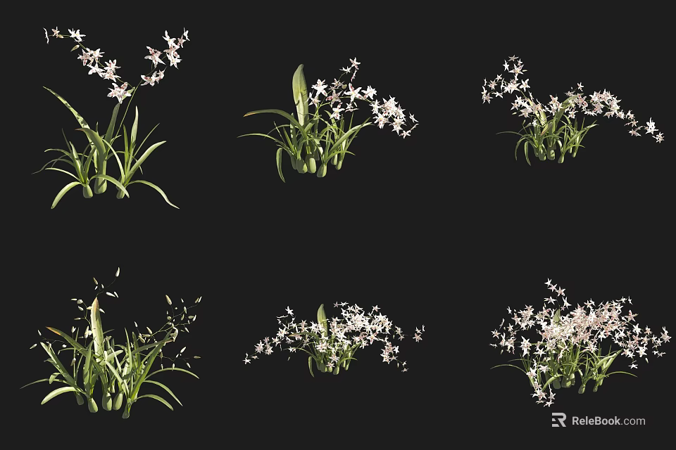 Various Poses of Floral Plants with White Small Flowers and Green Leaves 3d model 