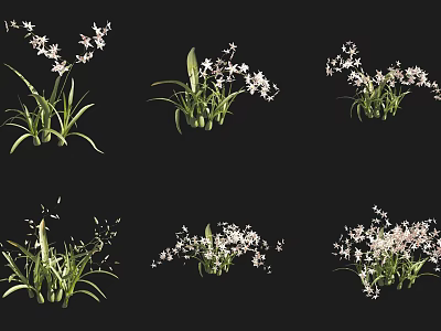 Various Poses of Floral Plants with White Small Flowers and Green Leaves 3d model