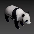 Realistic 3D Model of Standing Black and White Panda Bear in Neutral Gray Background