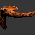 Vibrant Orange Plant Driftwood With Smooth Surface On Gray Background