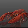 Fresh Cooked Red Lobster Whole With Claws On Black Surface
