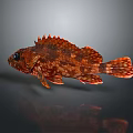 Red Spiny Fish With Scaly Body And Shiny Fins On Gray Background