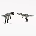 Two Realistic Dinosaur Models Standing Face to Face With Detailed Skin Patterns 3d model