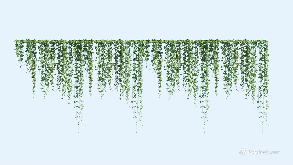 Green Hanging Vines as Natural Decorative Elements Against Light Blue Background 3d model