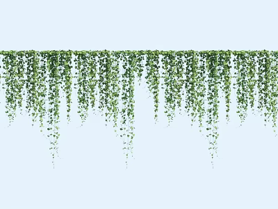 Green Hanging Vines as Natural Decorative Elements Against Light Blue Background 3d model
