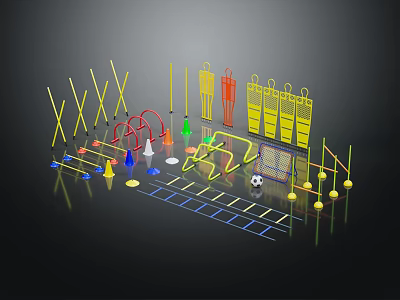 Sports Training Equipment Set With Agility Poles Cones Ladder And Soccer Ball 3d model