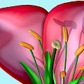 Beautiful Vibrant Red Flower With Green Stamens Yellow Anthers And Petals