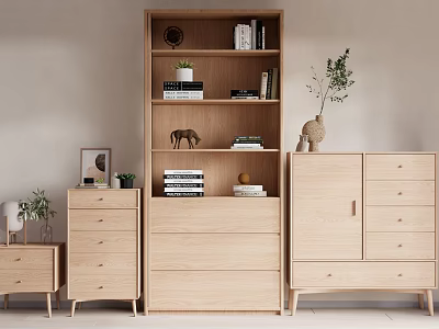 Minimalist Wooden Bookcase With Books Decorations Plants And Drawers In Modern Home Interior 3d model