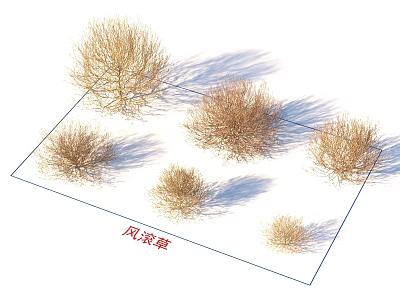 Dried Tumbleweed Plants Arrangement On Flat Surface With Natural Shadows 3d model