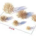 Dried Tumbleweed Plants Arrangement On Flat Surface With Natural Shadows 3d model
