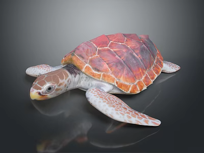 Vibrant Red And Orange Patterned Turtle With White Flippers On Dark Background 3d model