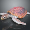 Vibrant Red And Orange Patterned Turtle With White Flippers On Dark Background 3d model