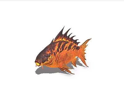 Orange And Black Aquatic Fish With Flame Like Patterns And Spiked Dorsal Fin 3d model