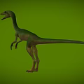 Bird-like Dragon Hunting Dragon Velociraptor Chinese Dragon Bird Microraptor Dinosaur Jurassic Low Face Number Low Model Simple Model Game Movie Level Super Realistic 3d model