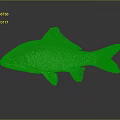 Silver Fish with Shiny Body Black Fins Prominent Eyes and Reflection on Gray Background