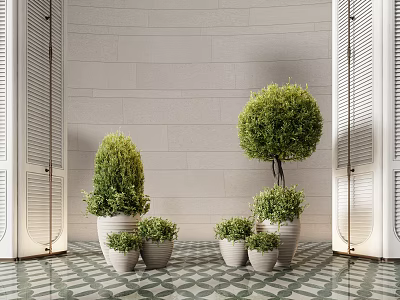 Elegant Modern Indoor Bonsai Potted Plants In Various Sizes And Stylish Pots 3d model