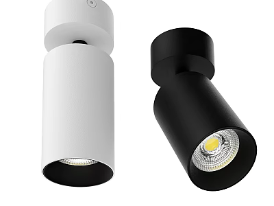 Modern White And Black Ceiling Spotlights With Bright LED Lighting Fixtures 3d model
