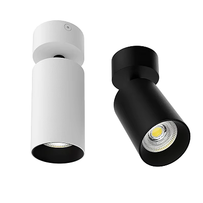 Modern White And Black Ceiling Spotlights With Bright LED Lighting Fixtures 3d model
