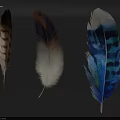 Colorful Decorative Feathers With Brown White And Blue Patterns On Gray Background 3d model