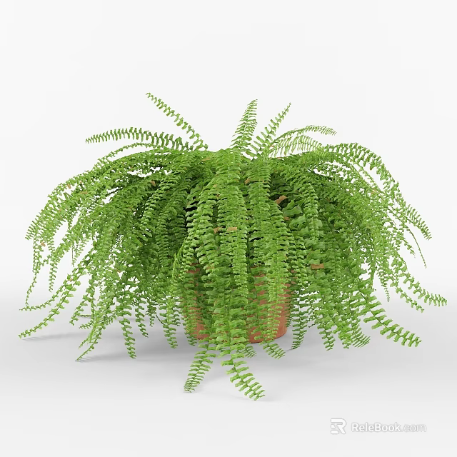 Lush Green Fern Potted Plant With Hanging Fronds In Brown Pot 3d model 