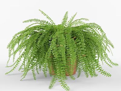Lush Green Fern Potted Plant With Hanging Fronds In Brown Pot 3d model
