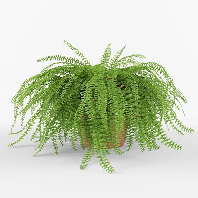 potted plant 3d model