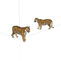 Realistic Tiger Models With Striped Fur And Natural Standing Postures On White Background