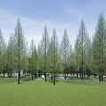 Outdoor Children's Play Area With Tall Trees Green Grass And Play Structures