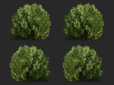 Four Lush Green Round Shrubs With Dense Foliage For Garden Landscaping 3d model