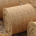 Round Hay Bales Arranged In Rural Agricultural Field With Dry Grass