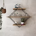 Decorative Ornament Combination Geometric And Circular Metal Wood Shelves With Succulents Green Plants And Vases