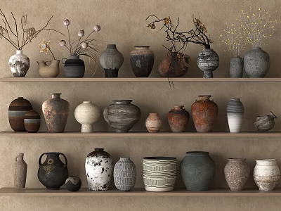 Decorative Ceramic Vessels With Various Designs Shapes And Colors Displayed On Shelves 3d model