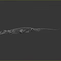Scientific 3D Rendered Detailed Lizard Skeleton Anatomical Structure On Dark Background