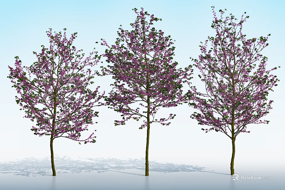 Three Flowering Arbor Trees With Purple Blossoms And Green Leaves Against Blue Sky 3d model 