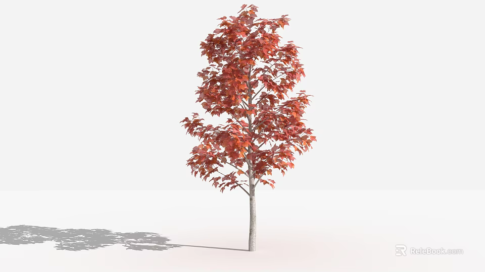 Red Leaf Arbor With Gray Trunk And Shadow On White Background 3d model 