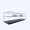 Shopping Mall Counter Featuring Glass Display Case With White Shirts Hats And Folded Merchandise
