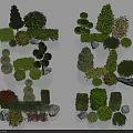 Various Shaped Colorful Garden Shrubs With Stones For Landscaping Design
