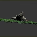 Weathered Wood with Natural Texture Cracks on Green Moss Covered Oval Base