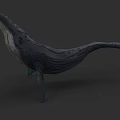 Whale Aquatic Animal 3D Model Featuring Detailed Texture Deep Blue Color And Dark Background