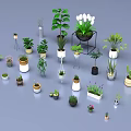 Diverse Potted Plants Collection With Various Sizes Shapes Green And Flowering Varieties
