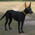 Dark Colored Reptile With Yellow Collar Details Standing Outdoors On Grass