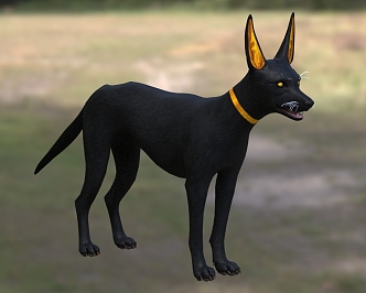 Anubis Wolf Dog 3d model