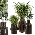 Dark Textured Ceramic Vases With Lush Green Foliage Arranged In Various Sizes