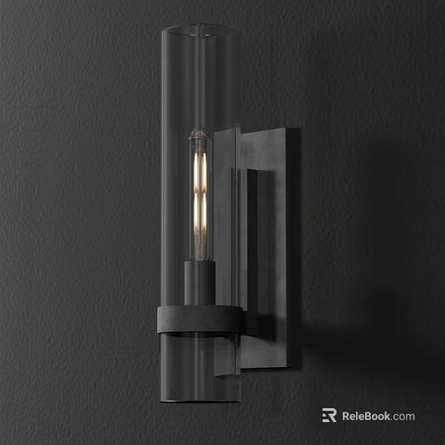 Modern Black Metal Wall Sconce With Transparent Glass Shade And Bulb On Dark Wall 3d model 