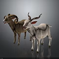 Brown and White Sheep with Curved Horns and Red Ears on Grey Background Reflective Surface