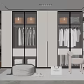 Modern Walk in Closet Interior Design With Glass Wardrobes Hanging Clothes Storage Stool And Rug