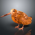 Rusty Brown Bird With Long Beak Standing On Dark Surface With Reflection 3d model