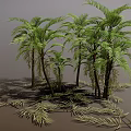 Palm Trees With Various Heights Featuring Green Leaves Trunks And Ground Shadows 3d model