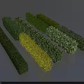 Colorful Trimmed Long Shaped Bushes As Garden Landscape Design Elements